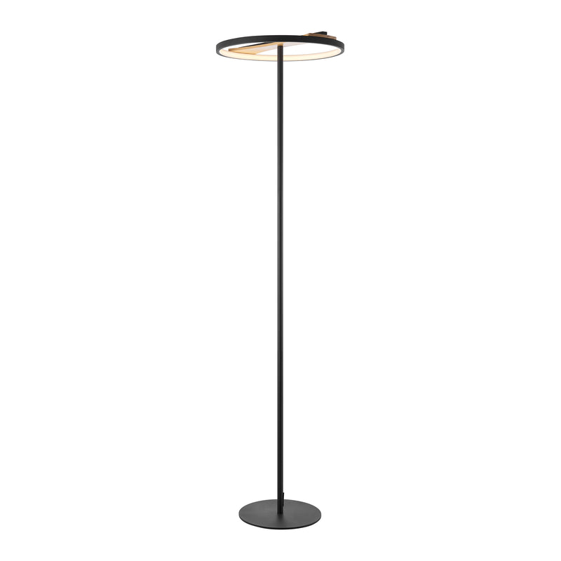 Satin Black Iron & Wood Floor Lamp-zoom-
