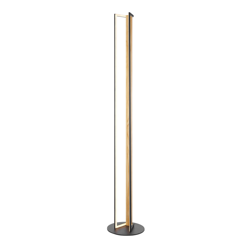 Iron & Wood Floor Lamp-zoom-
