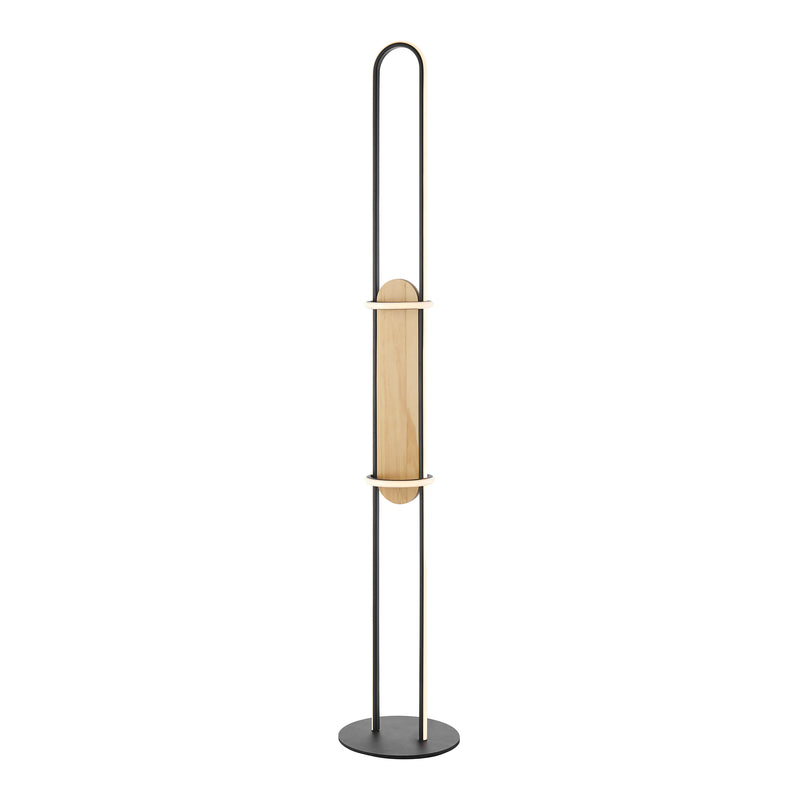 Iron & Wood Floor Lamp-zoom-
