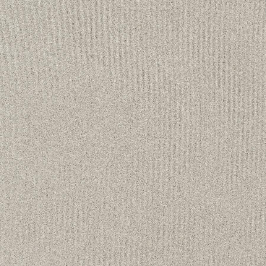 Alana Velvet Upholstered Dining Side Chair Sand (Set of 2)-zoom-10