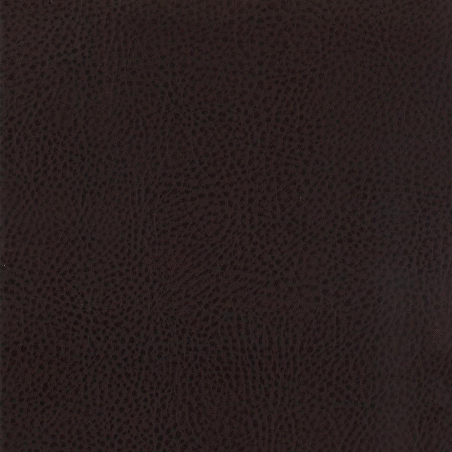 Dewey Upholstered Counter Chair Walnut (Set of 2)-10
