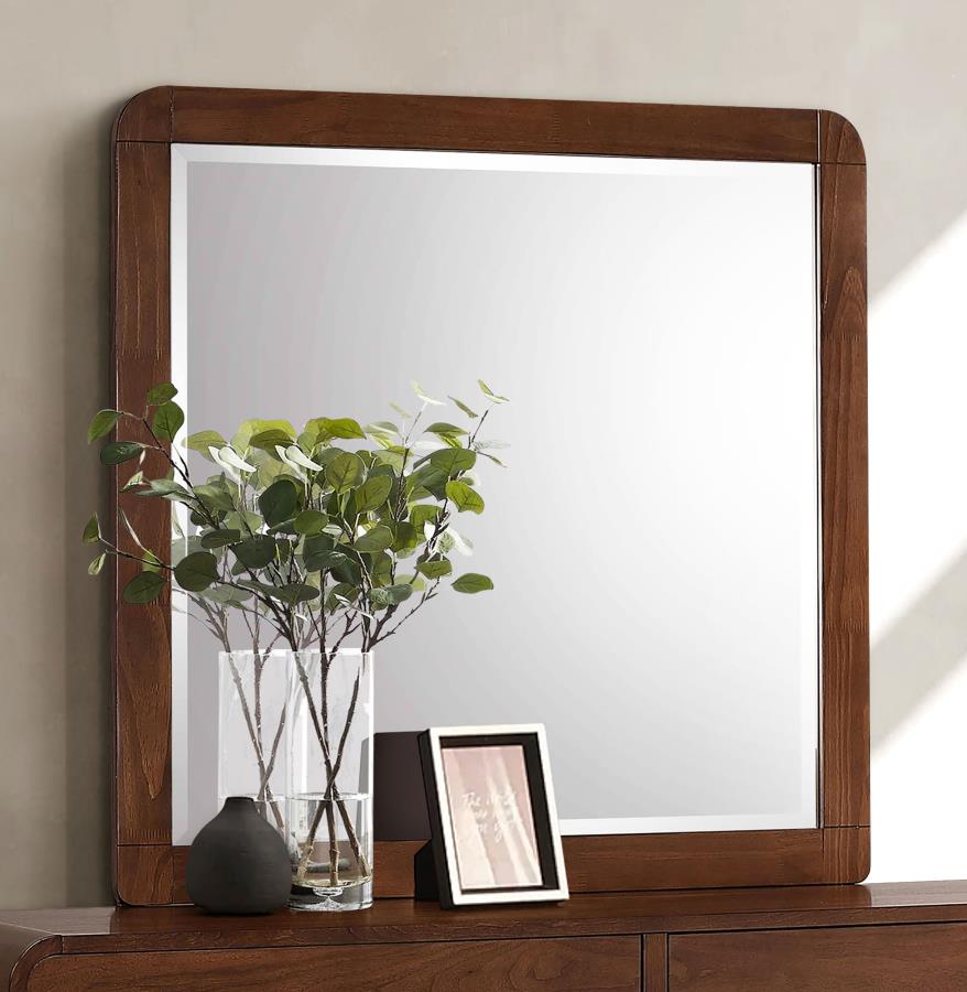 Robyn Dresser Mirror Dark Walnut-zoom-2