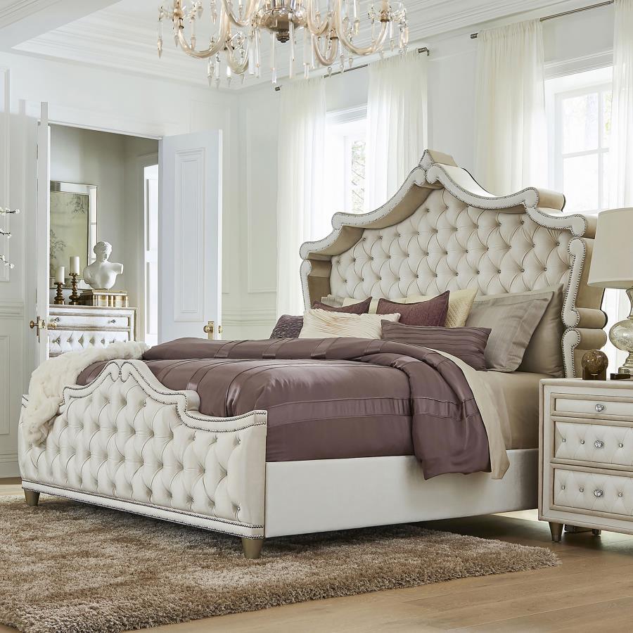 Antonella Upholstered California King Panel Bed Ivory-2