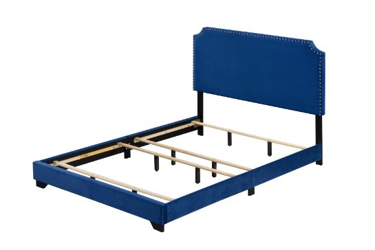 ACME Haemon Upholstered Bed – front view – Lusso Furniture Miami