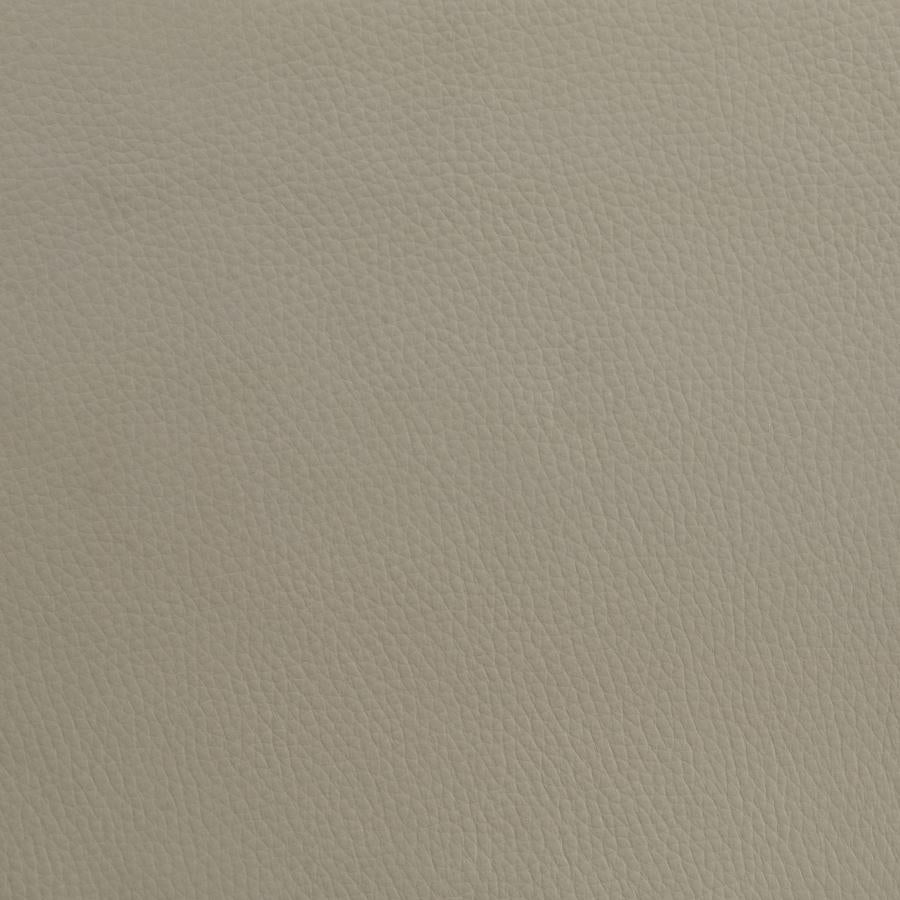 Medley Genuine Leather Queen Panel Platform Bed Tan-8