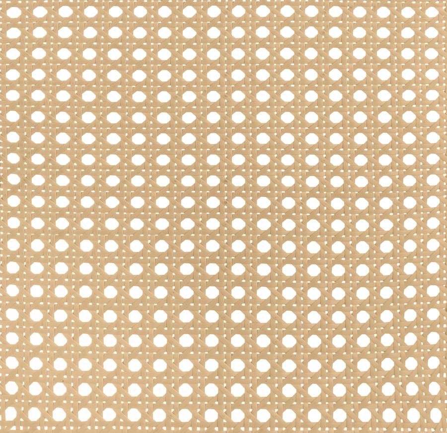 Lanewood Open Cane Webbing Metal Eastern King Bed White-10