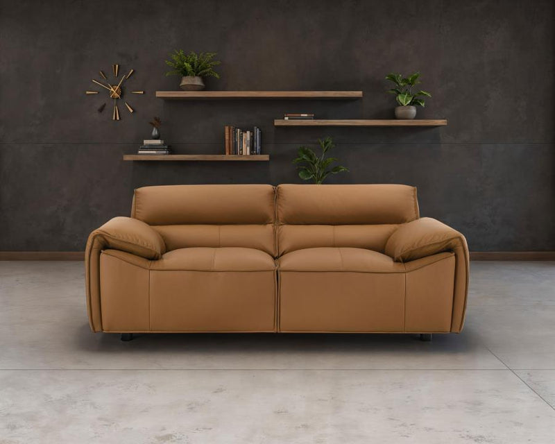 Buxton Top Grain Leather Upholstered Loveseat Orange-zoom-