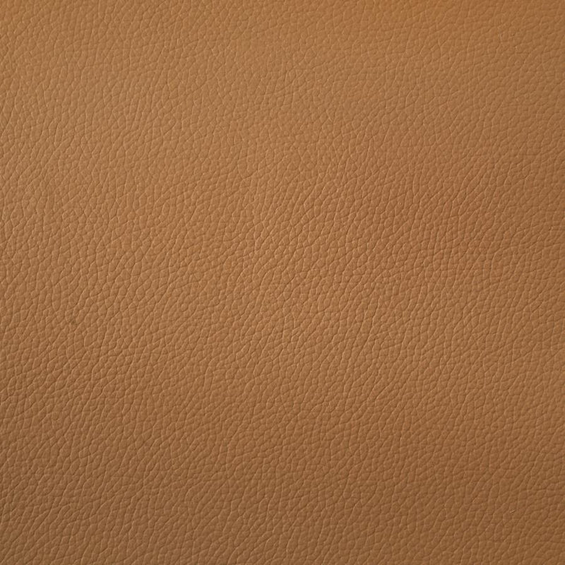 Buxton Top Grain Leather Upholstered Loveseat Orange-zoom-
