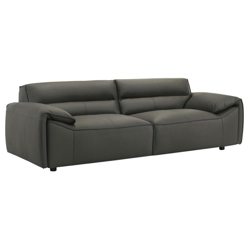 Buxton 2-piece Leather Upholstered Sofa Set Graphite-zoom-