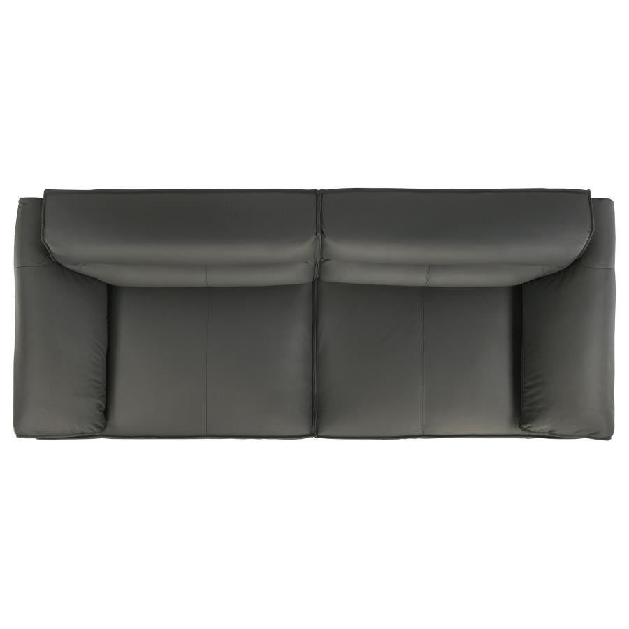 Buxton 2-piece Leather Upholstered Sofa Set Graphite-zoom-7