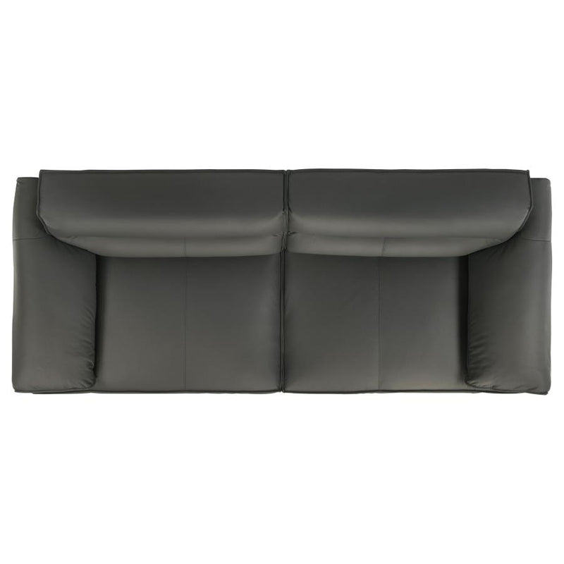 Buxton 2-piece Leather Upholstered Sofa Set Graphite-zoom-