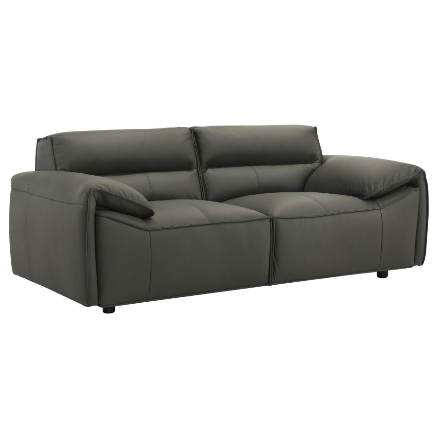 Buxton 2-piece Leather Upholstered Sofa Set Graphite-zoom-8
