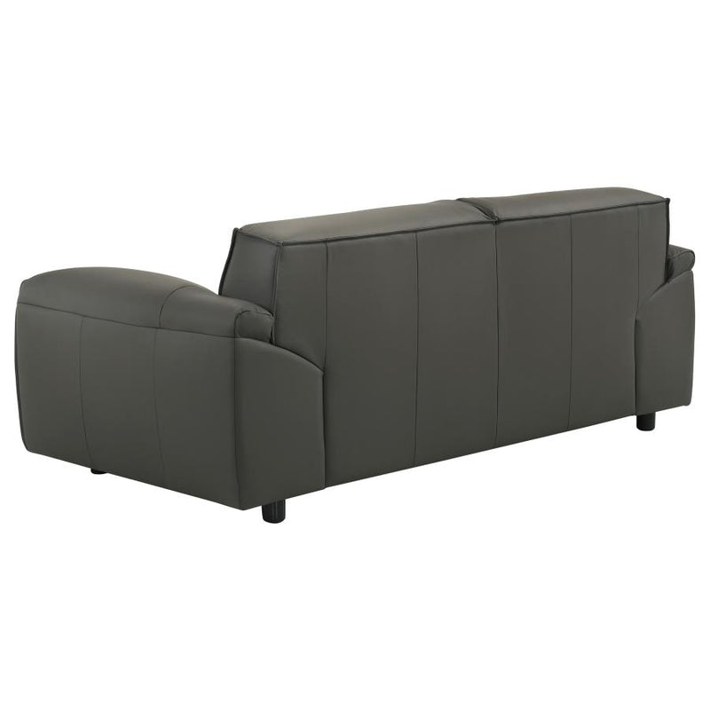 Buxton 2-piece Leather Upholstered Sofa Set Graphite-zoom-