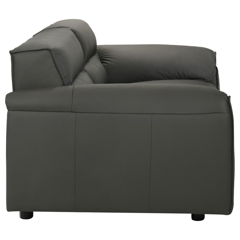 Buxton 2-piece Leather Upholstered Sofa Set Graphite-zoom-
