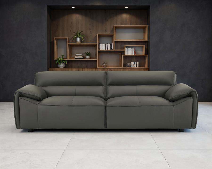 Buxton Top Grain Leather Upholstered Sofa Graphite-zoom-2