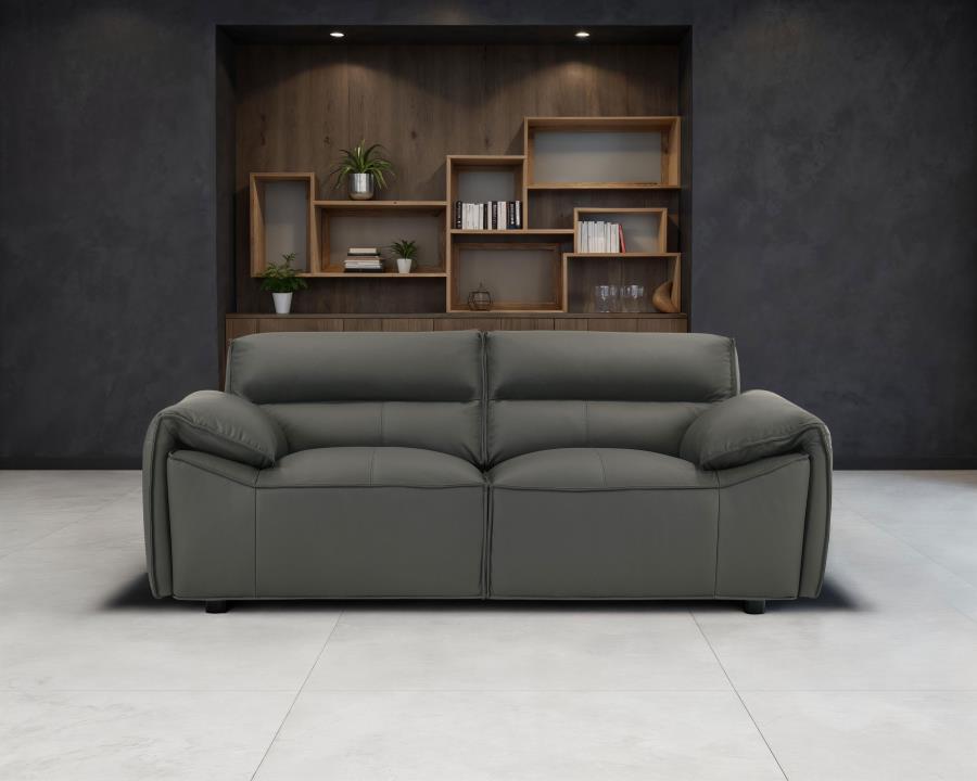 Buxton Top Grain Leather Upholstered Loveseat Graphite-zoom-2