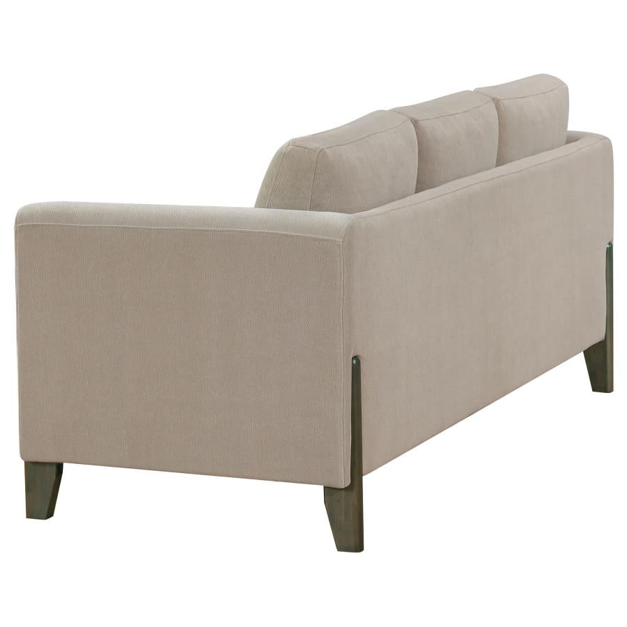 Islington 2-piece Upholstered Panel Arm Sofa Set Taupe-5