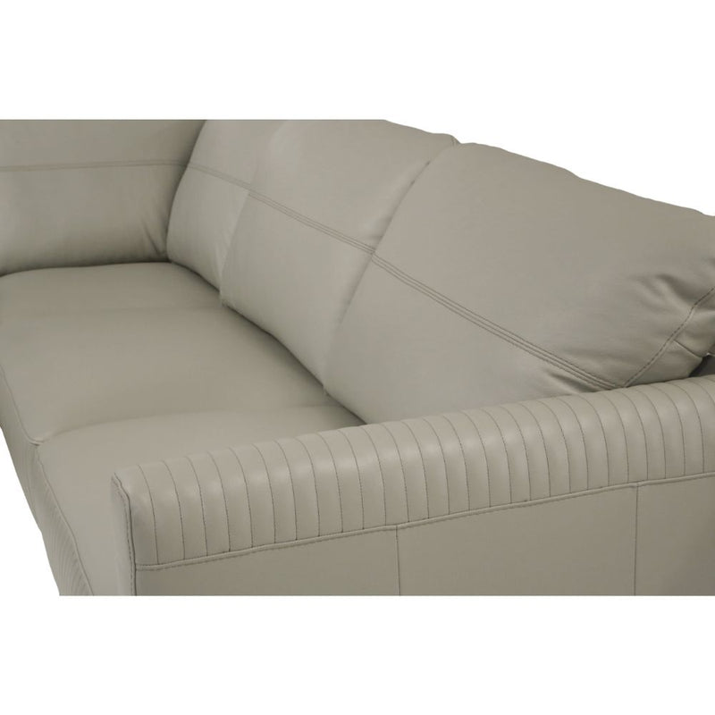ACME Tampa Sectional Sofa-zoom-