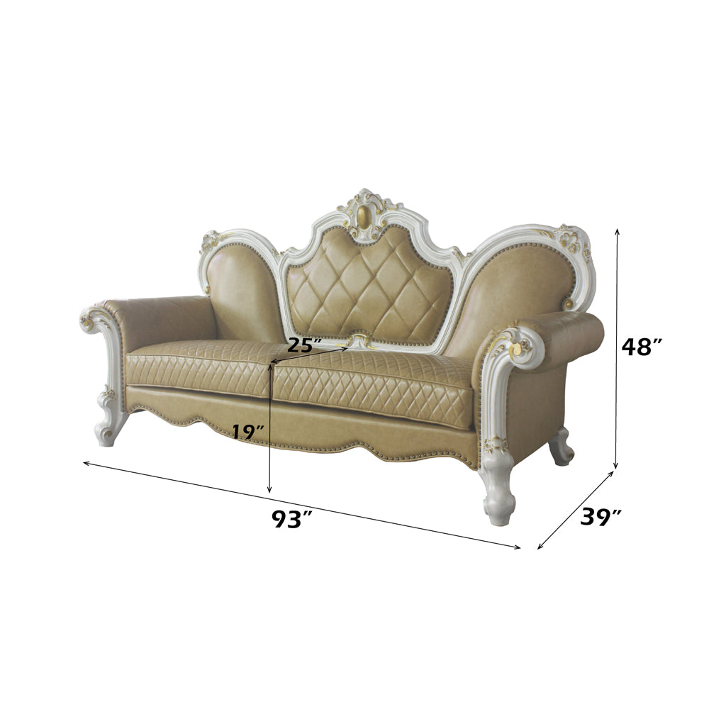 ACME Picardy Sofa with 5 Pillows – back view – Lusso Furniture Miami