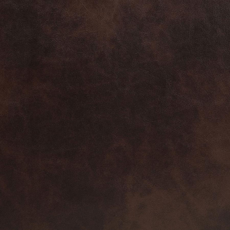 Sycamore Upholstered Power Recliner Chair Dark Brown-zoom-