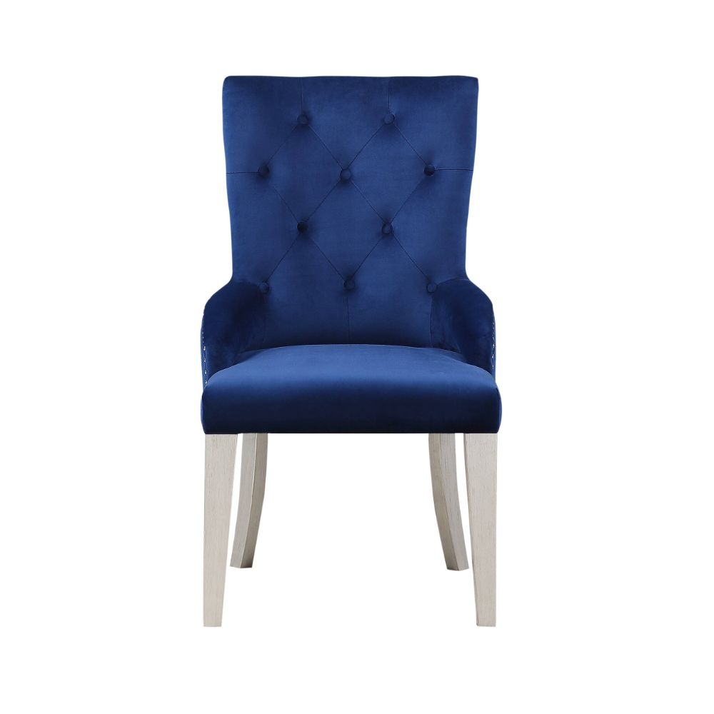 ACME Varian Side Chair – angle view – Lusso Furniture Miami