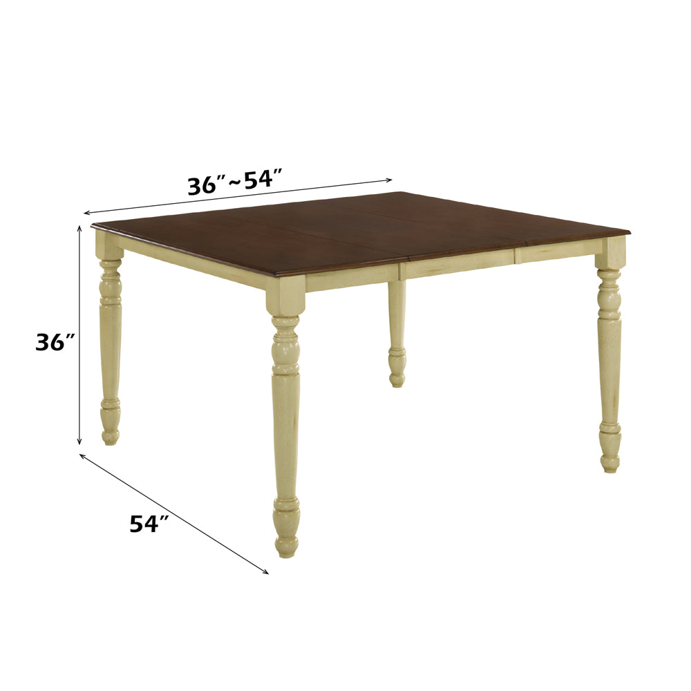 ACME Dylan Counter Height Table – back view – Lusso Furniture Miami