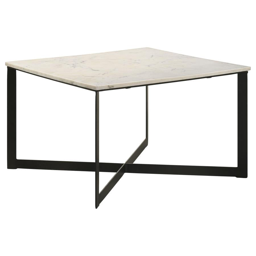 Tobin Square Marble Top Coffee Table White and Black-1