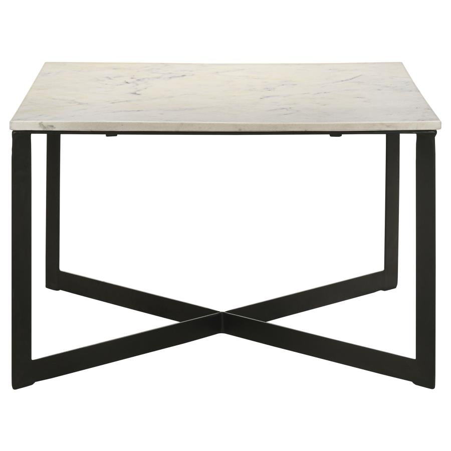 Tobin Square Marble Top Coffee Table White and Black-3