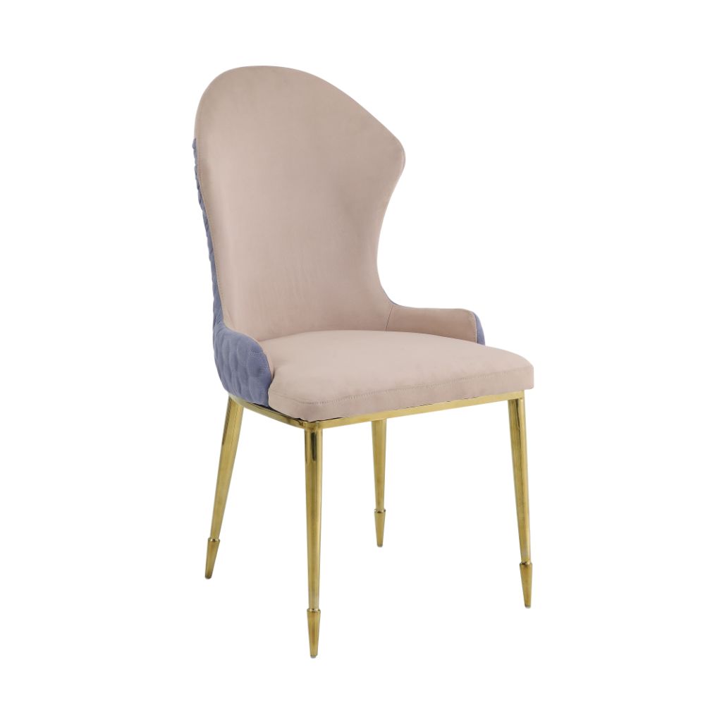 ACME Caolan Side Chair Set of 2 – front view – Lusso Furniture Miami
