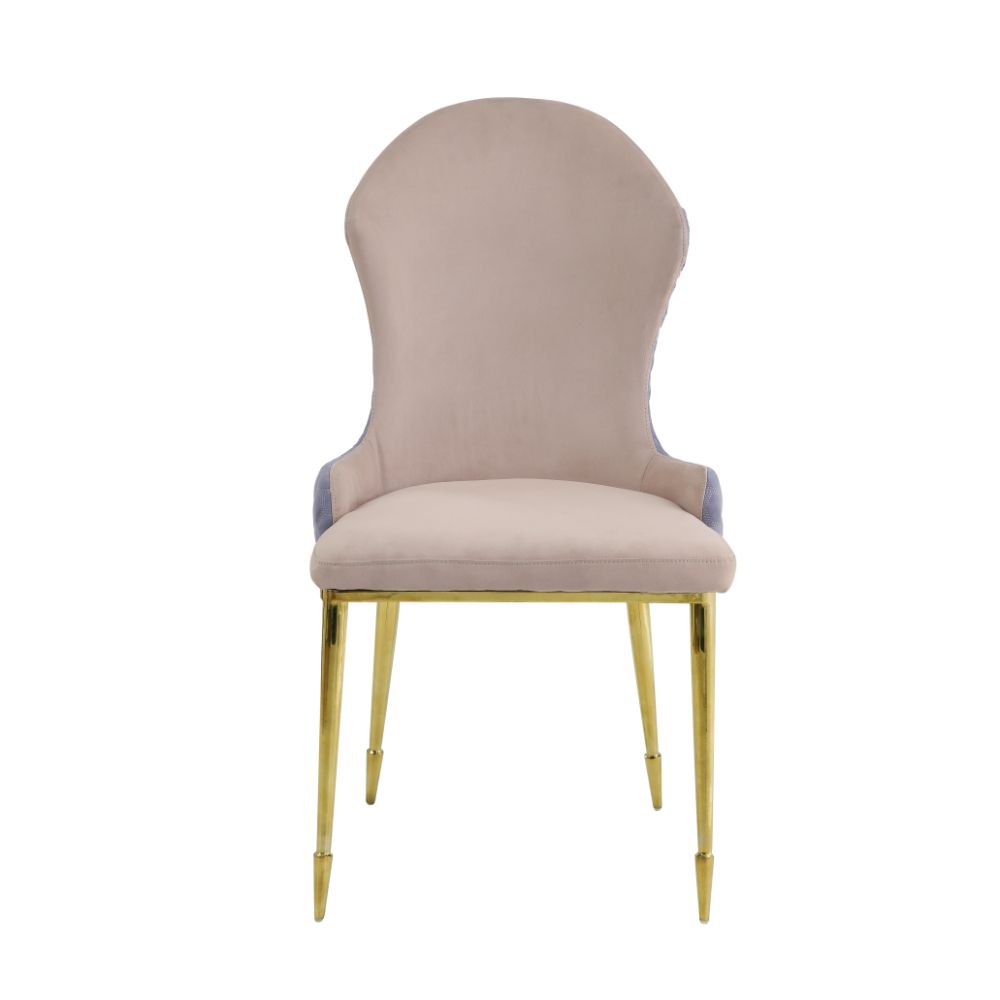 ACME Caolan Side Chair Set of 2 – angle view – Lusso Furniture Miami
