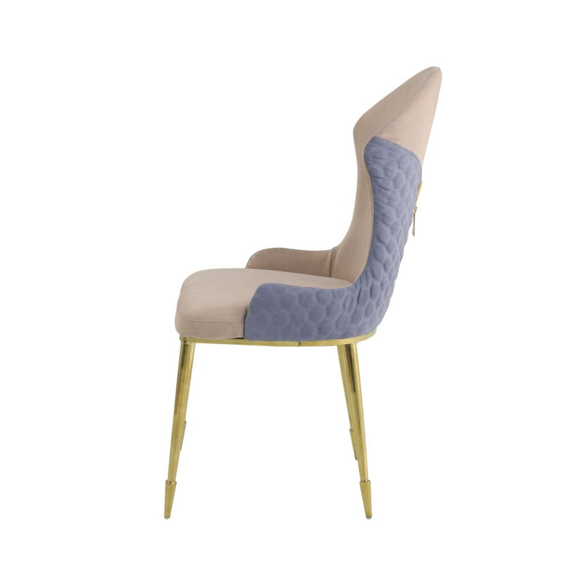 ACME Caolan Side Chair Set of 2-zoom-