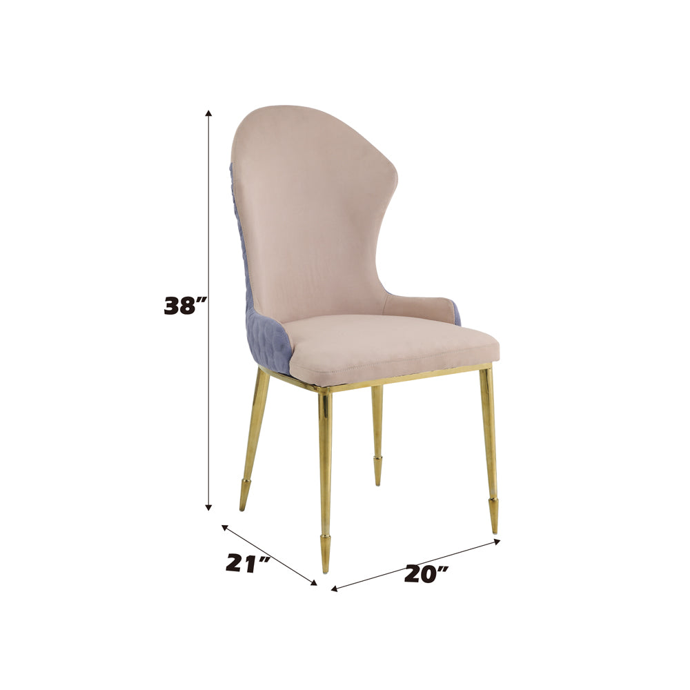 ACME Caolan Side Chair Set of 2 – back view – Lusso Furniture Miami