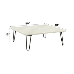 ACME Telestis Coffee Table – back view – Lusso Furniture Miami
