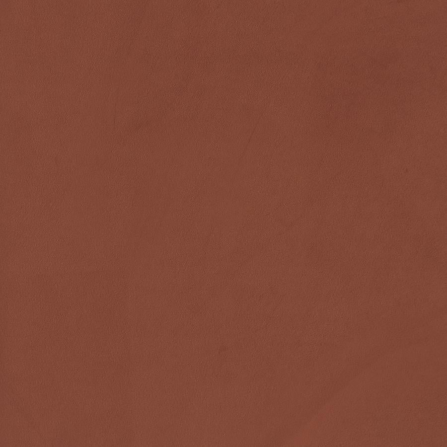Liana Upholstered Roll Arm Accent Armchair Rust Orange-zoom-11
