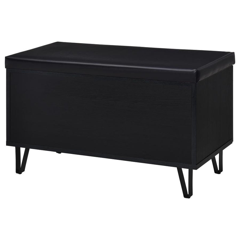 Brixton 2-door Padded Entryway Shoe Storage Bench Black-zoom-