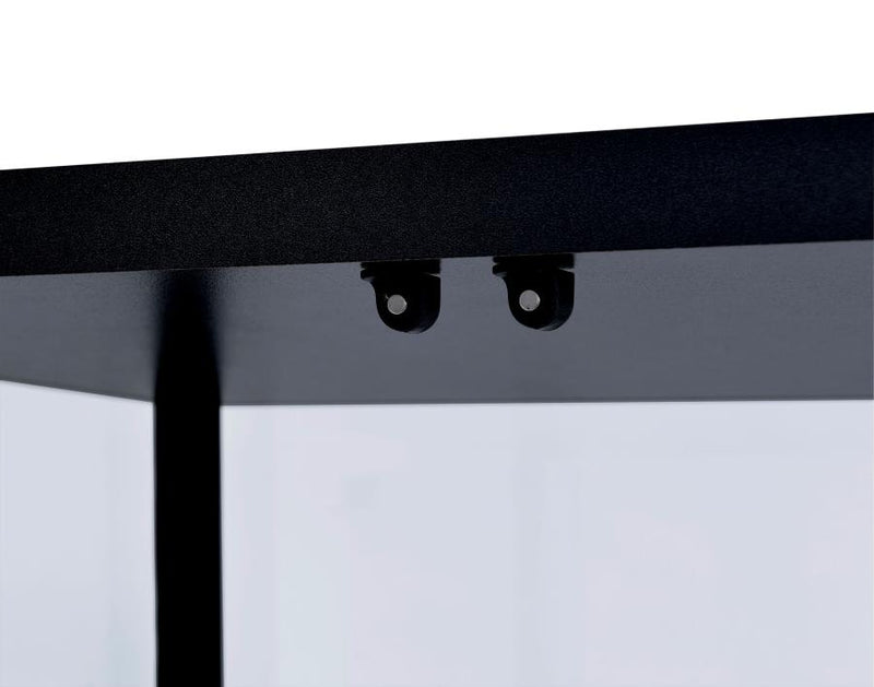 Delphinium 4-Shelf Clear Glass Curio Display Cabinet Black-zoom-