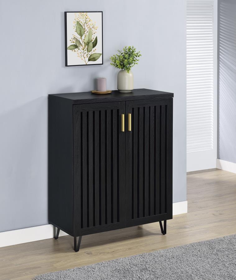 Brixton 2-door Entryway Shoe Storage Cabinets Black-zoom-