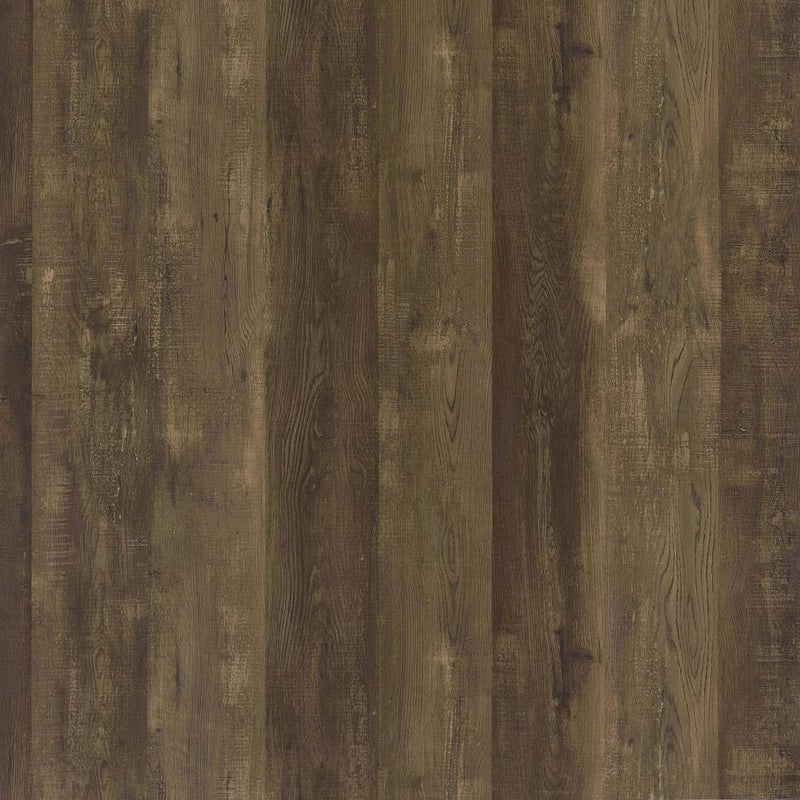 Carolyn 2-door Engineered Wood Accent Cabinet Rustic Oak-zoom-