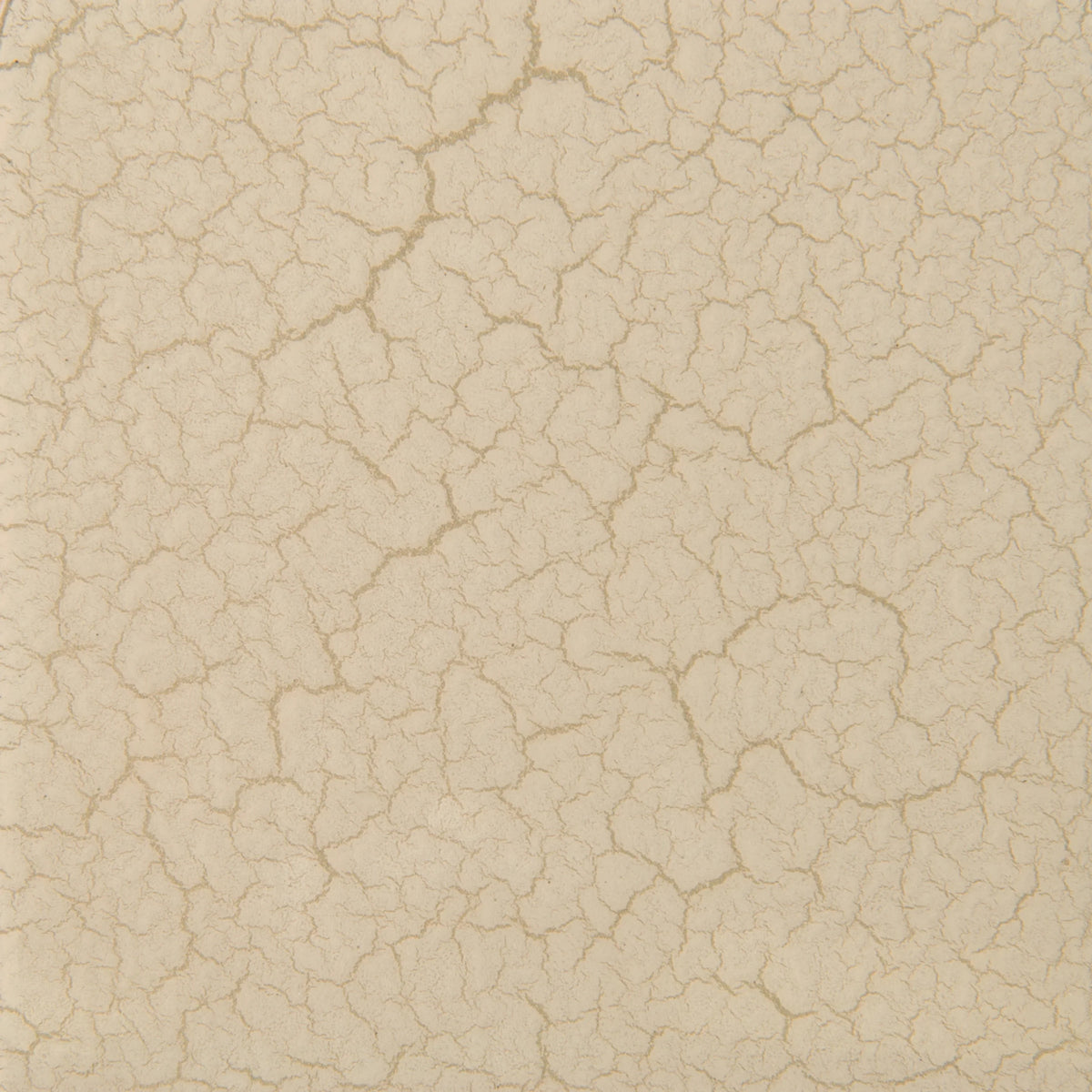 Caracole Helena Chair – back view – Lusso Furniture Miami