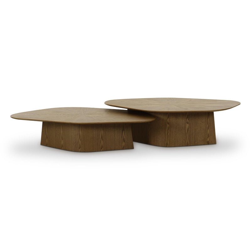 Roche 2-Piece Ash Nesting Coffee Table Set-zoom-
