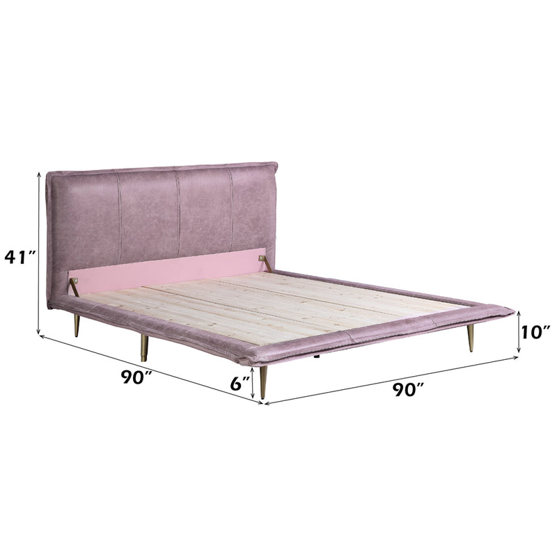 ACME Metis Leather Bed-zoom-