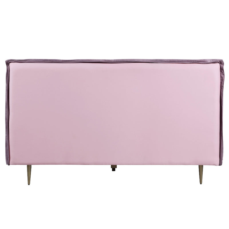 ACME Metis Leather Bed-zoom-