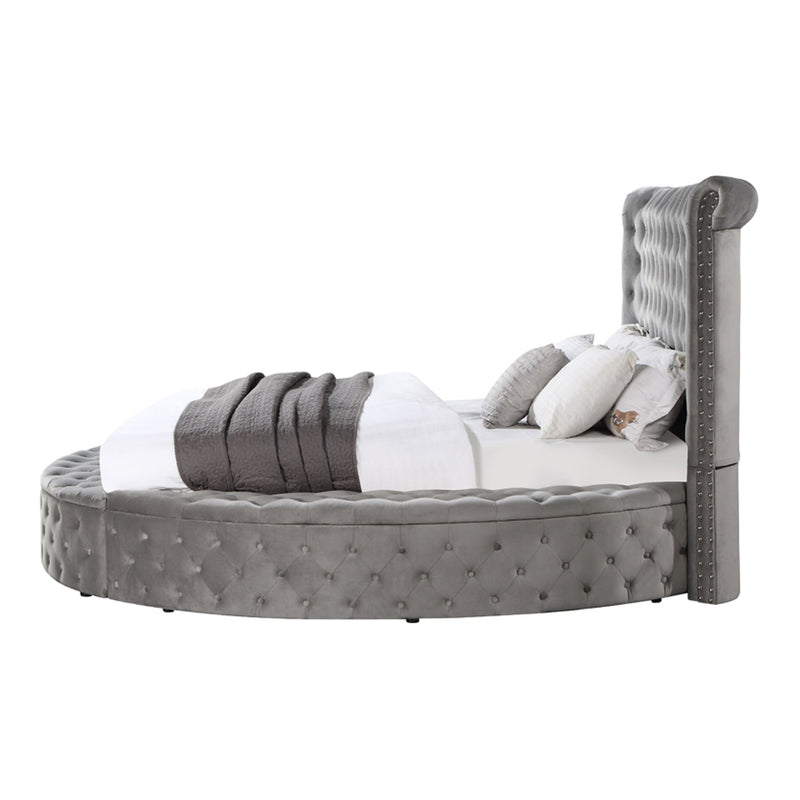 ACME Gaiva Storage Bed-zoom-