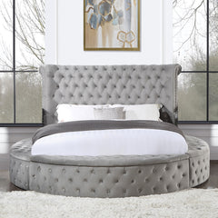 ACME Gaiva Storage Bed – front view – Lusso Furniture Miami