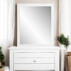 ACME Gaines Mirror – view 20 – Lusso Furniture Miami