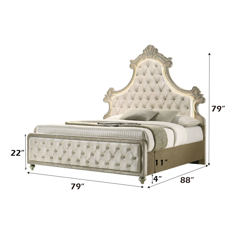 ACME Lucienne LED Bed-zoom-