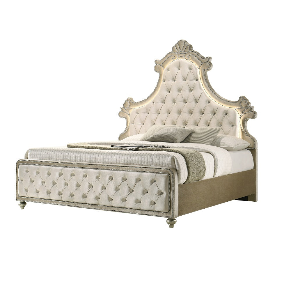 ACME Lucienne LED Bed – angle view – Lusso Furniture Miami