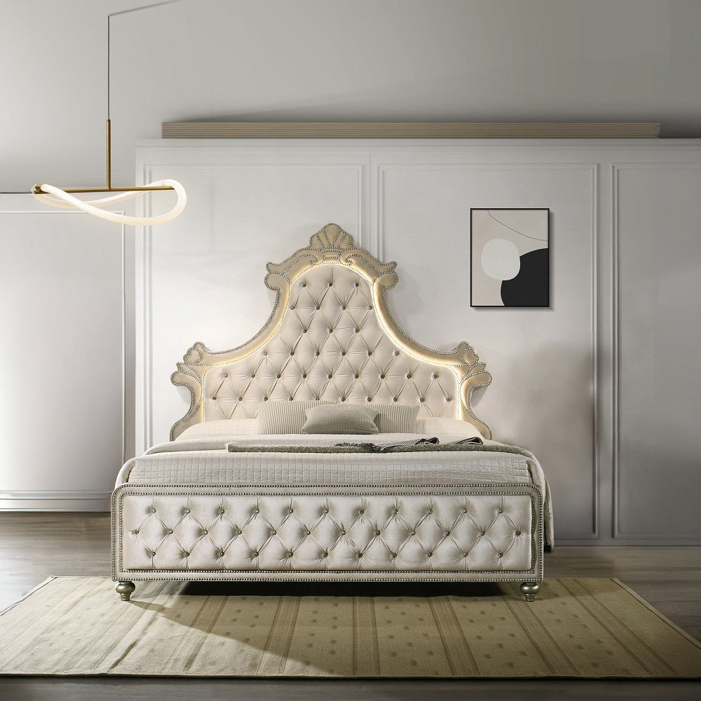 ACME Lucienne LED Bed – front view – Lusso Furniture Miami