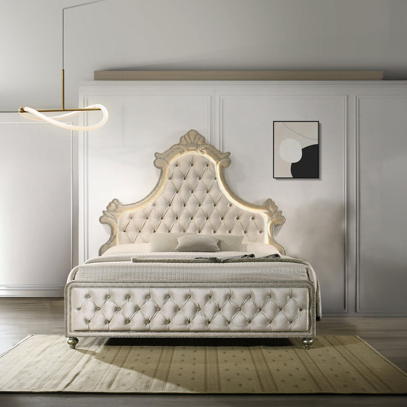 ACME Lucienne LED Bed-zoom-