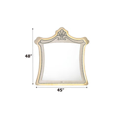 ACME Lucienne LED Mirror – room setting – Lusso Furniture Miami